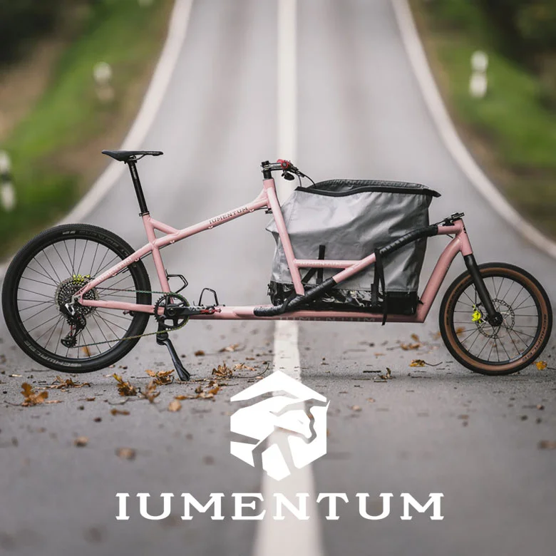Iumentum Händler Hamburg leichtes Lastenrad