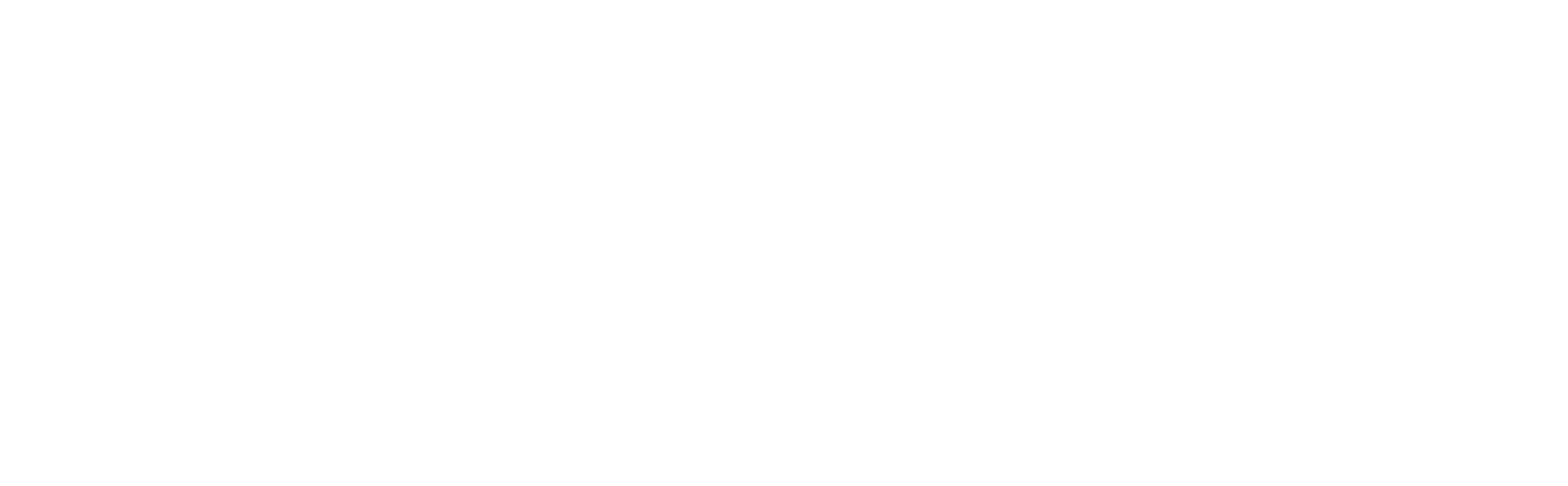 Logo Cycle Solution Fahrrad Hamburg HafenCity