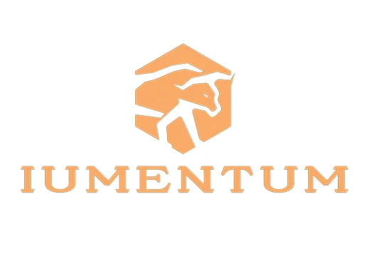 Logo 2